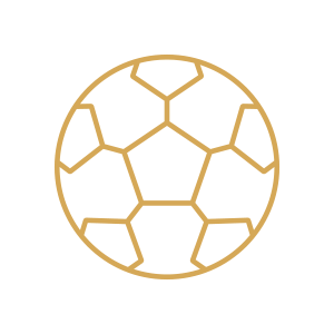 Icon: Fußball